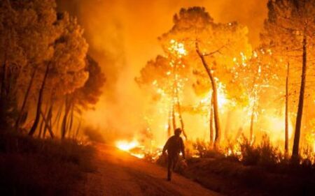 Испания се бори с поредните горски пожари това лято