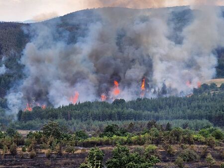 Само за ден на територията на ЮИДП бяха регистрирани 10 горски пожара