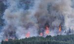Пожарът в Старозагорско е овладян, засегнати са около 800 декара гори и сухи треви