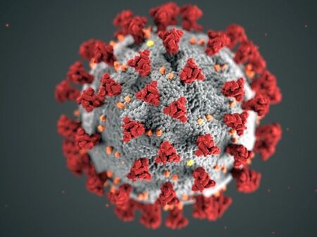 1024 нови случаи на коронавирус, 10 души са починали