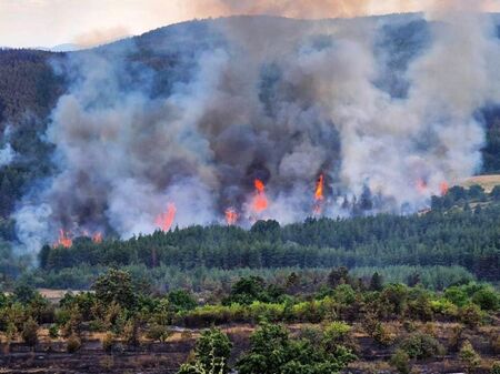 Извънредно! Пожар в Сакар планина между Тополовград и Свиленград
