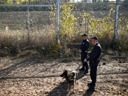 Брутална жестокост! Мигранти пребиха с колове и заклаха следово куче на границата край Малко Търново
