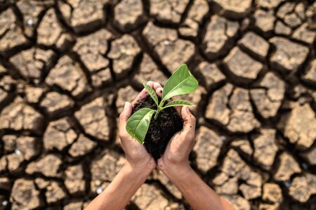 Франция ще похарчи милиарди за компенсиране на загубите от сушата