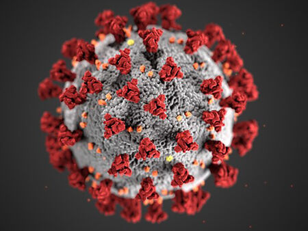 851 нови случая на коронавирус, шестима души са починали