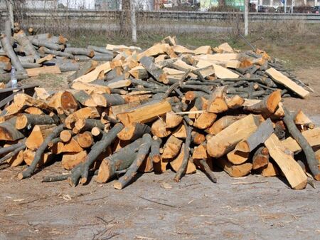 Трикратно са скочили заявките за дърва във Варненско