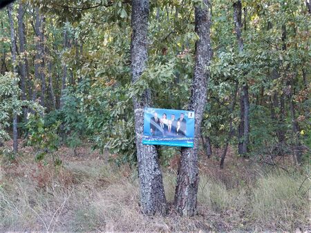 РИК-Бургас установи нарушение на Изборния кодекс в Руенско