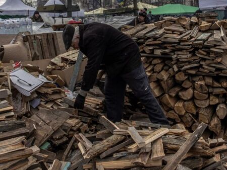 Дървата с рекордно поскъпване за година