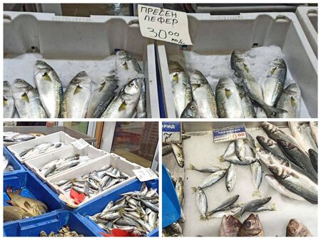 Черно море завря от риба, пазарът „Краснодар“ пълен с паламуд и сафрид, появи се и пресен лефер