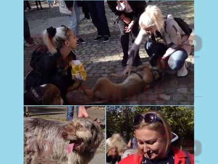 Осигурих ѝ лечение и вече Надя е добре така че