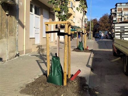 Общината прилага нов вид поливна система за дърветата на ул. „Климент Охридски“