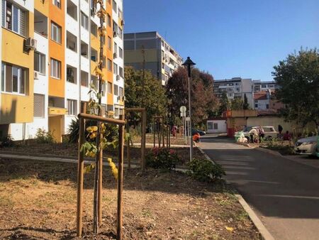 Общината засажда 230 дръвчета в к-с „Изгрев“ по програма „Моят град, моят квартал, моята улица“