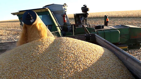 Москва: Зърнената сделка е провалена от Киев под ръководството на Великобритания