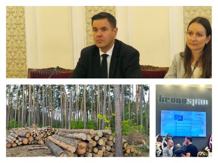 Никола Стоянов е недоволен от заповед ограничаваща сечта на дървета