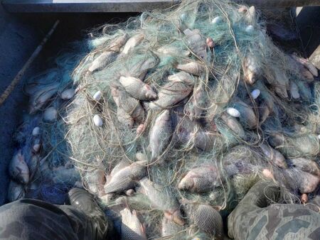 Инспектори на ИАРА извадиха бракониерски мрежи с 400 кг риба от ез. Вая