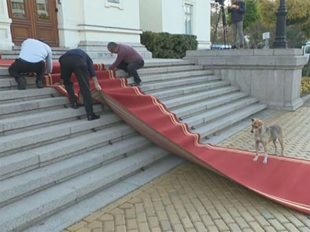 Политиците да престанат с вербалната агресия срещу журналисти