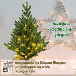„Коледа е, когато сме заедно” – инициатива за засаждане на живи елхи след празниците