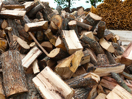 Дървата за огрев в Руен трябва да бъдат доставени до 15 декември