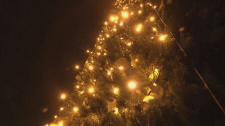 Коледа по време на война: Киев посреща Коледа с по-малка елха и без тържества