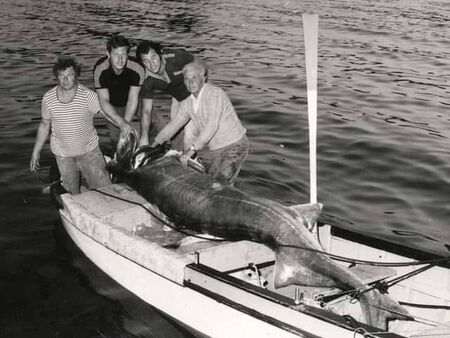 Ретро Флагман: Вижте какъв звяр извадиха рибари от морето край Ахтопол през 1985 г.
