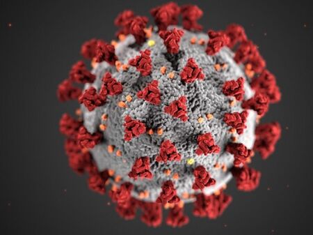173 нови случая на коронавирус, 4 души са починали