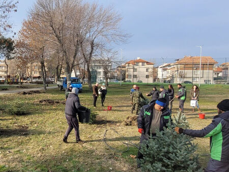 Продължава залесителната кампания в квартал „Свети Георги“ – Поморие