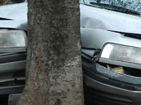 Кола се заби в дърво в Плевенско, има двама пострадали