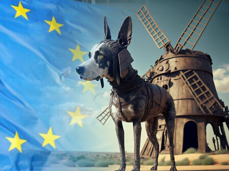 ЕС иска от Бургас да реши проблема си с... бездомните кучета?!