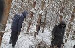 Необичайно студената зима в Афганистан причини смъртта на поне 170 души, съобщиха талибаните