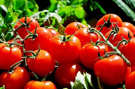 Купихме домати за 38 млн. долара от Турция