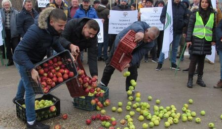 Протестиращи производители изхвърлиха ябълки на пътя край Дунав мост