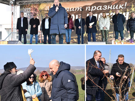 Денят на виното и любовта в Поморие бе отбелязан с много настроение и пожелания за плодородна година