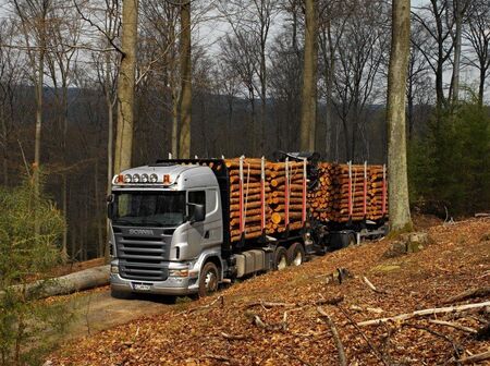 Цената на дървесината била спекулативно висока, големи заводи спират работа