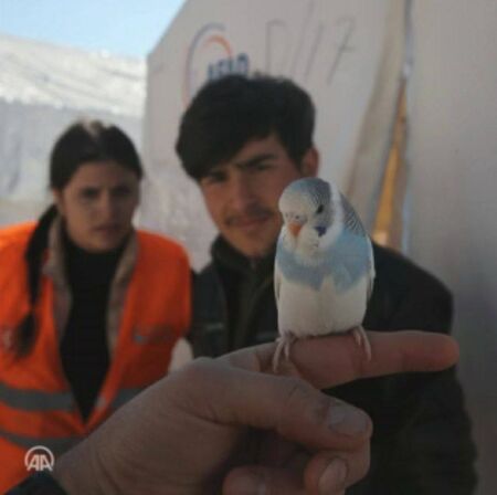 Песента на папагал спасила семейство от земетресенията в Турция (СНИМКИ)
