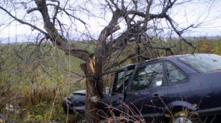 Шофьор е с опасност за живота, след като се заби в дърво в Плевенско