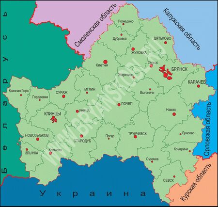 Русия твърди, че се бие с украински партизани на своя територия