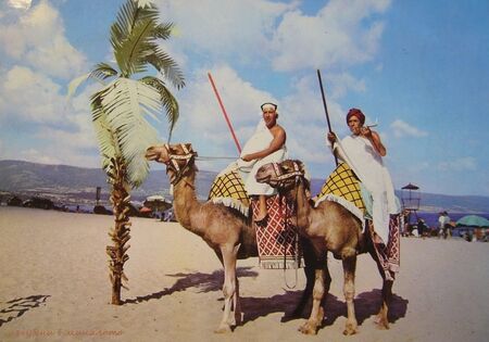 България през 70-те, когато по пътя Златни пясъци – Албена имаше палми, а на плажа – камили