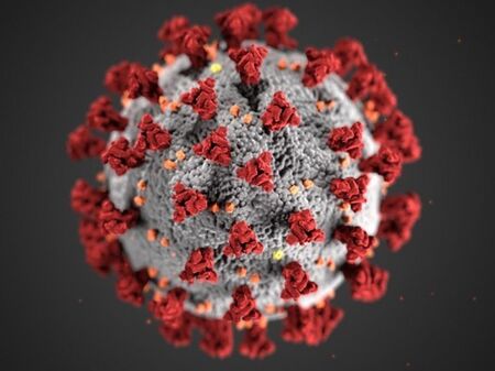 25 нови случая на коронавирус, 233 се лекуват в болница