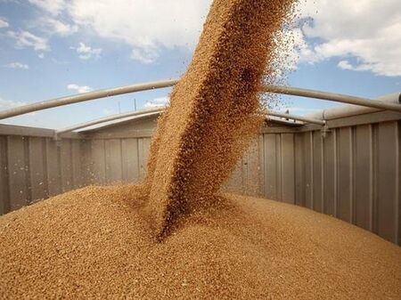 Цените на зърнените стоки падат