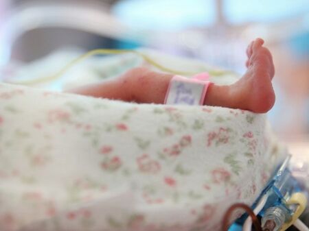Истинският бейби бум: 4,09 милиона бебета са се родили в Европа