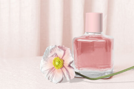 Свежи дамски парфюми за пролетта