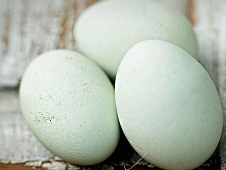Над 300 хиляди български яйца са конфискувани в Гърция заради липса на маркировка