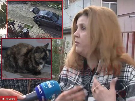 Жена от Бургас отвлича котки и лъже, че е общински служител