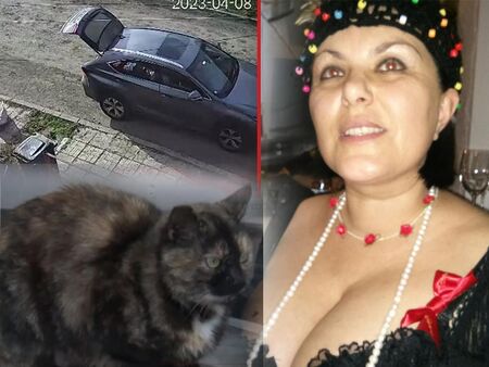 Ексклузивно! Флагман откри шофьорката на Лексуса, с който отвличат котки в Бургас