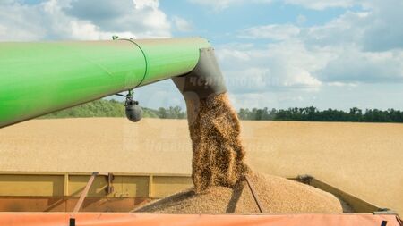 Словакия забрани продажбата на зърно от Украйна заради пестициди