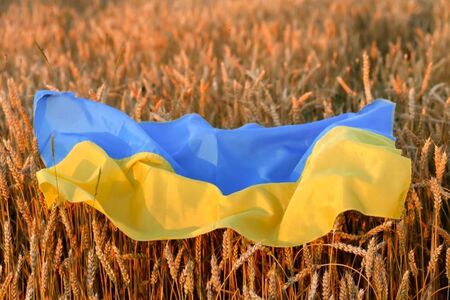 Забраната за внос на украинско зърно през погледа на световните медии