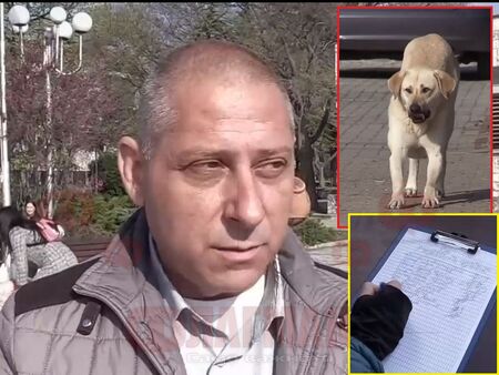 Кучета разкъсаха ръката на мъж от Каблешково, събират подписи заради тормоза от глутницата