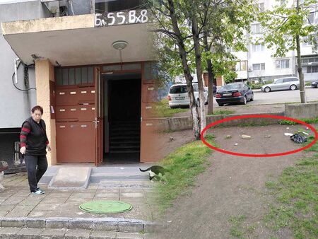 Жена изхвърля боклуците си в двора на елитна бургаска гимназия (СНИМКА)