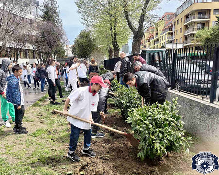 Ученици от несебърското СУ "Любен Каравелов" издигат "зелена стена" около училището