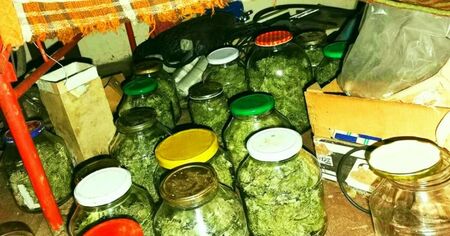 Откриха буркани с марихуана в Казанлък
