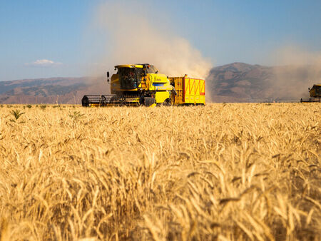 ЕП удължи безмитния внос на земеделски стоки от Украйна